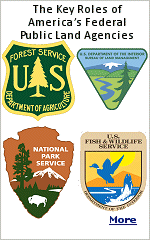 About 640 million acres of land in the US are owned by the federal government, with around 95% of that managed by just four groups. Each of these four agencies offer opportunities for outdoor recreation and exploration. However, their origins and goals differ, each with their own approach to managing the natural, historical, and cultural treasures found across the country. 